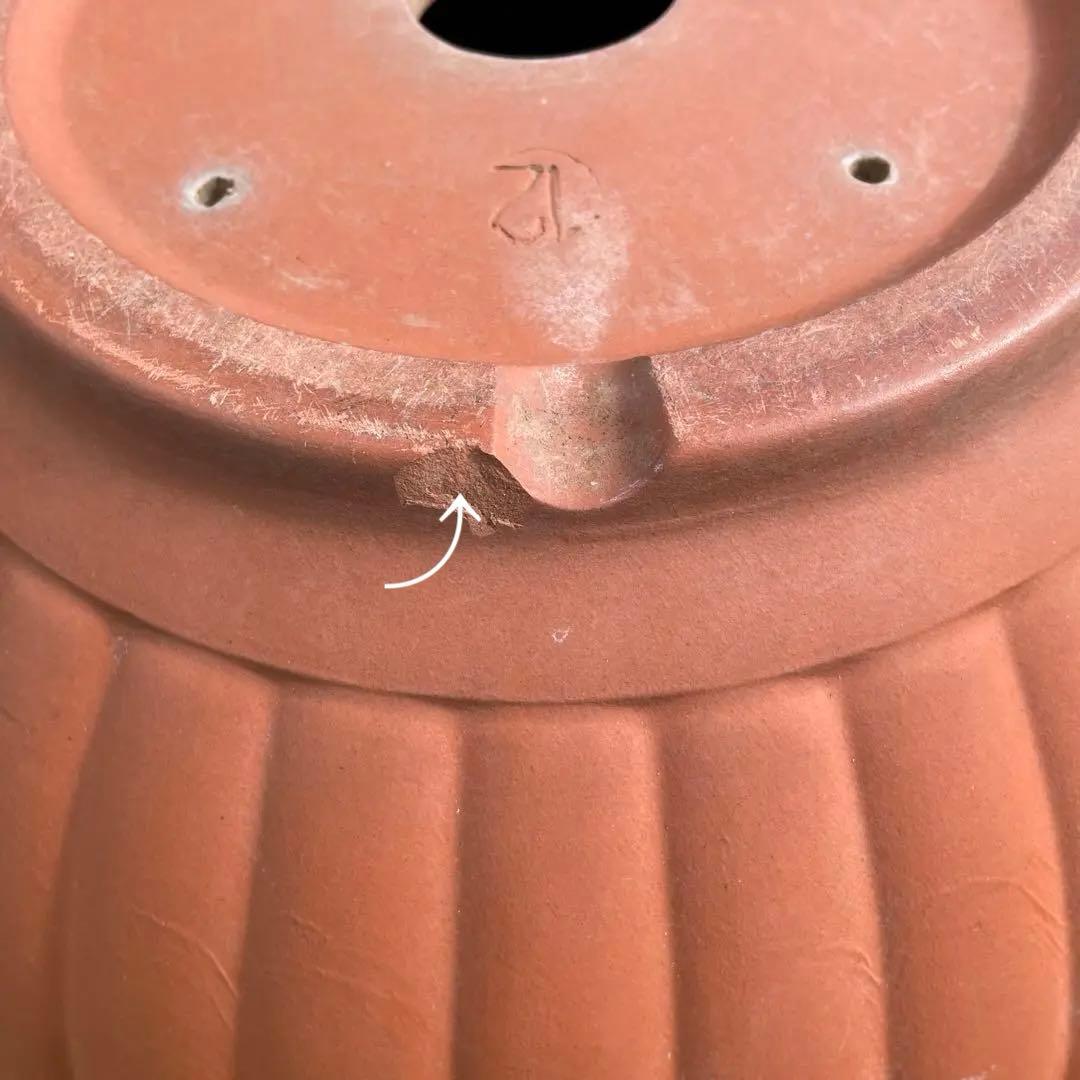 浅型テラコッタ 大きめ 丸鉢 ガーデニング 寄せ植え 植木鉢