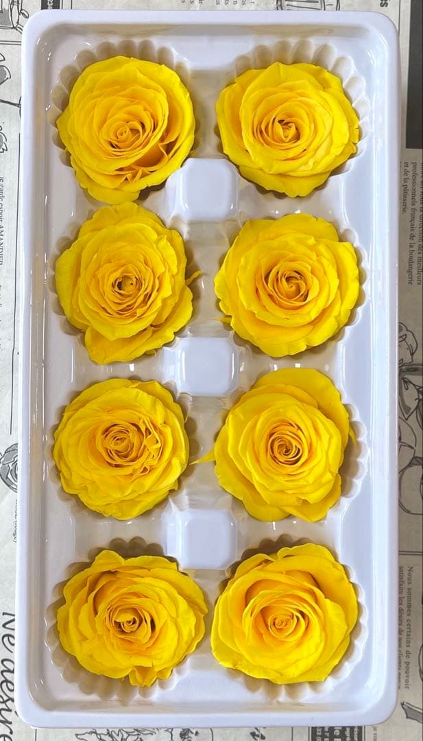 専用ページ　おまとめ割引-450