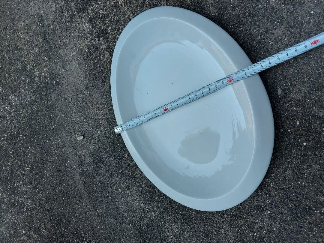 カレー　パスタ　皿　２０枚