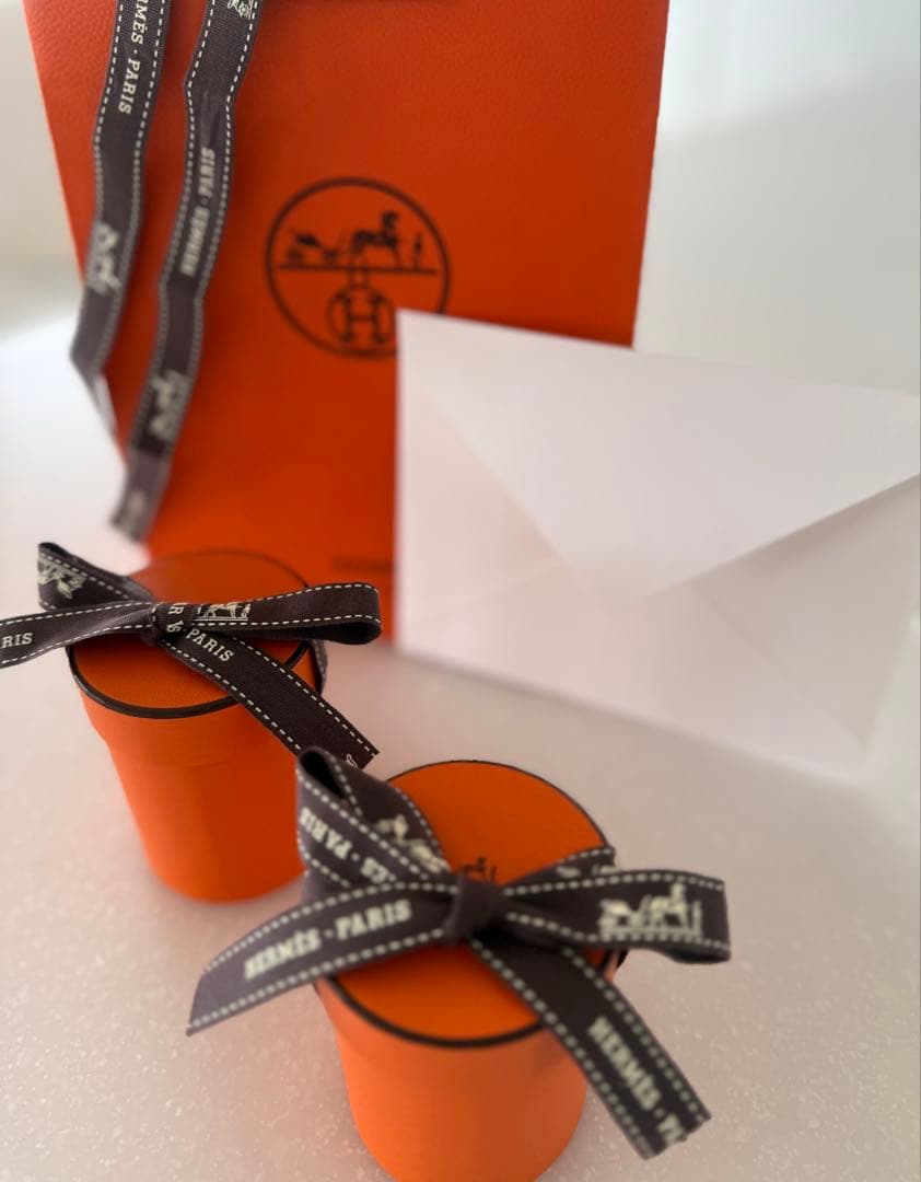 Black Friday価格 ! ！　HERMES エルメス　ツイリー　２本組！