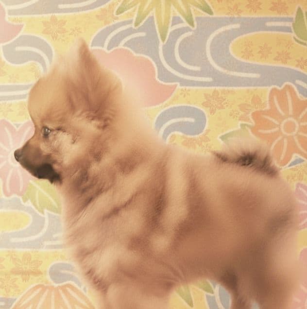 ★★アニサチ様★★