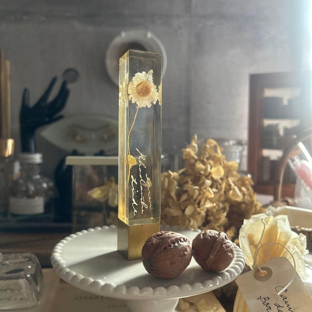 ローダンセ 真鍮 樹脂標本 errer 植物標本