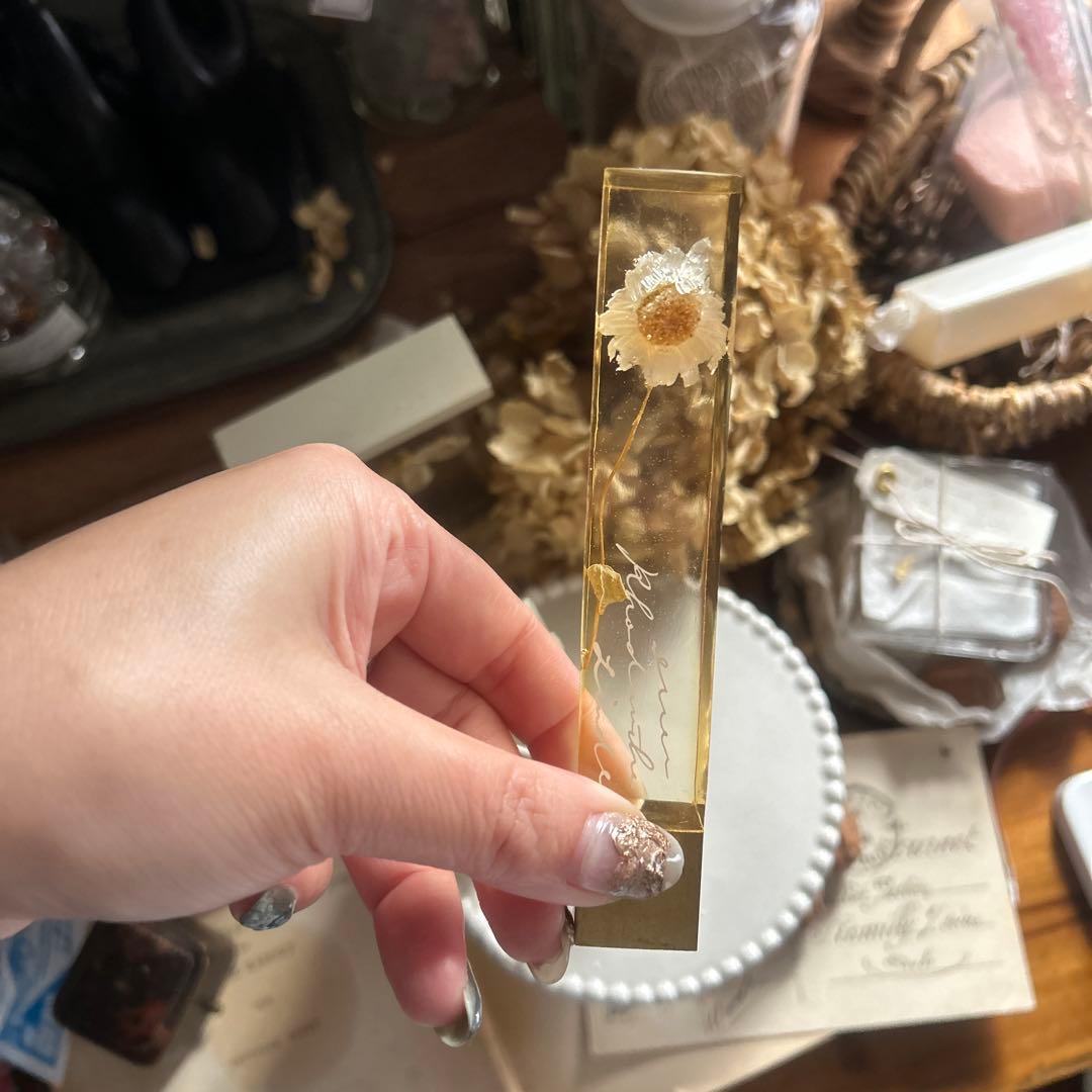 ローダンセ 真鍮 樹脂標本 errer 植物標本