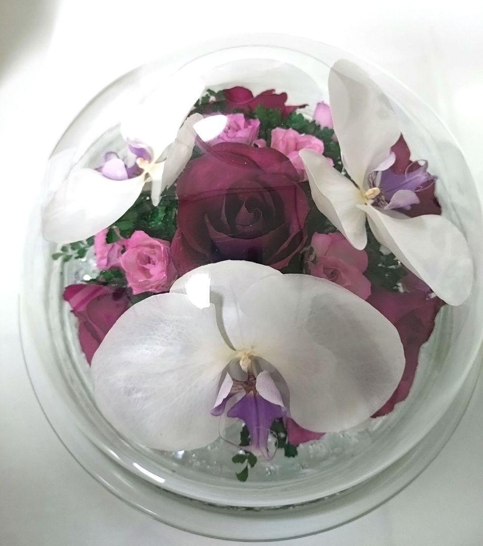 レンデフロール　プリザーブドフラワー 置物　胡蝶蘭　薔薇　スノードーム型
