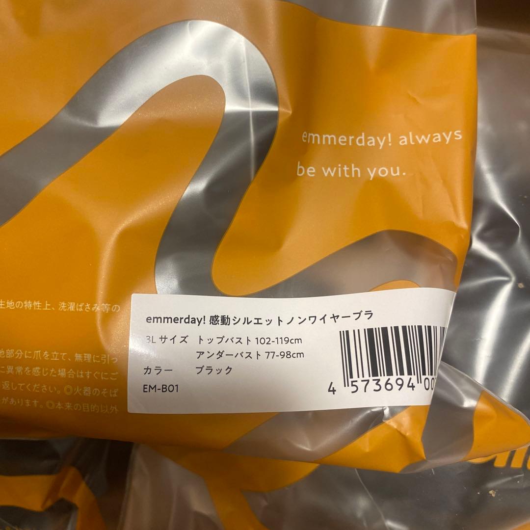 ak emmerday! ブラック 3L ブラジャーショーツセット✖️5セット