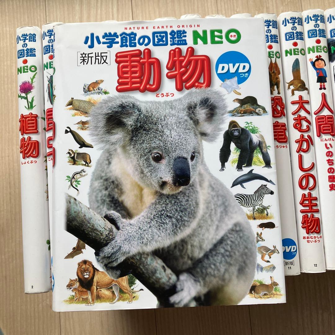 小学館の図鑑NEO 全巻20冊セット DVD付き
