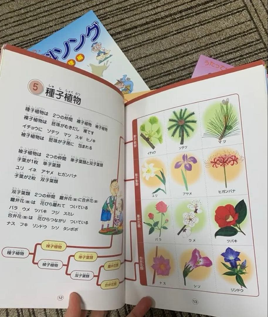 CD付き　七田式　社会科ソング　理科ソング　5冊セット　まとめ売り