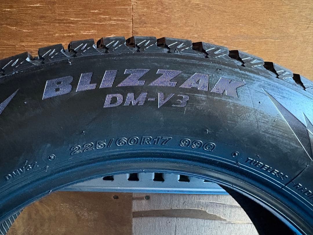 2019年 ブリヂストン DM-V3 225/60R17 4本セット