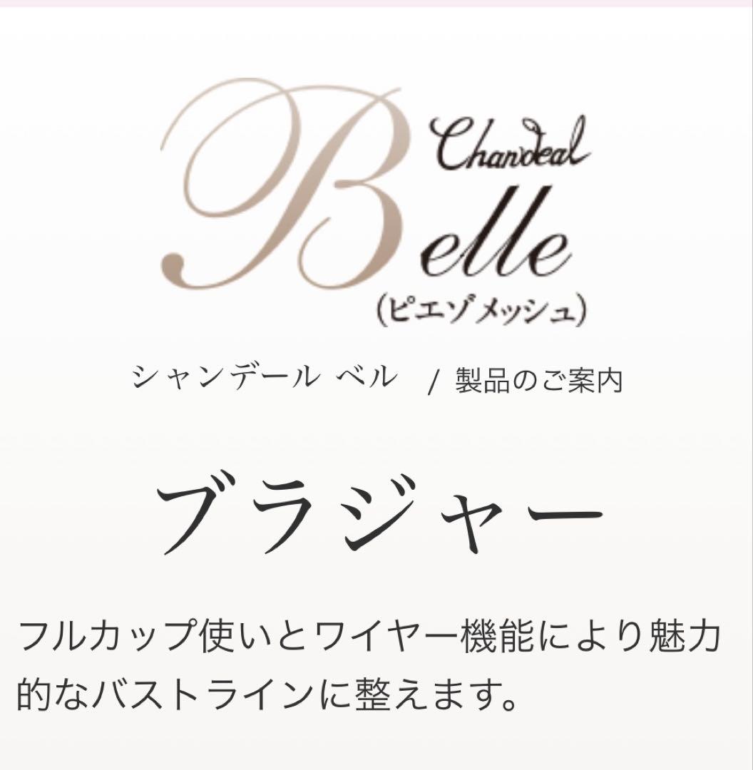 新品未使用シャンデールピエゾメッシュ（ベル）ブラジャーE80