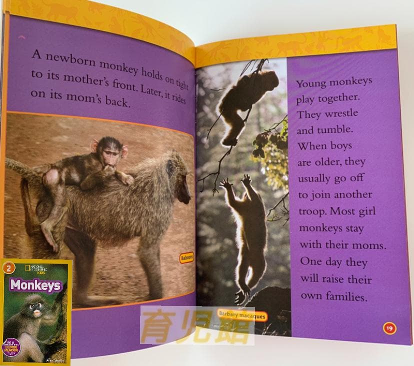 National Geographic Kids 絵本155冊　マイヤペン対応