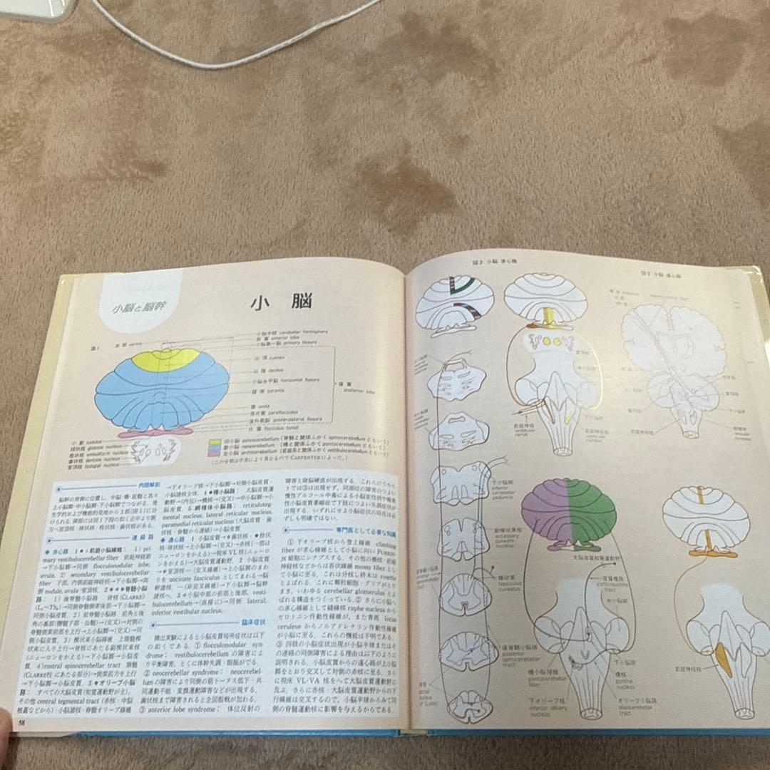 医学書　臨床のための神経機能解剖学　定価:税込¥17,600