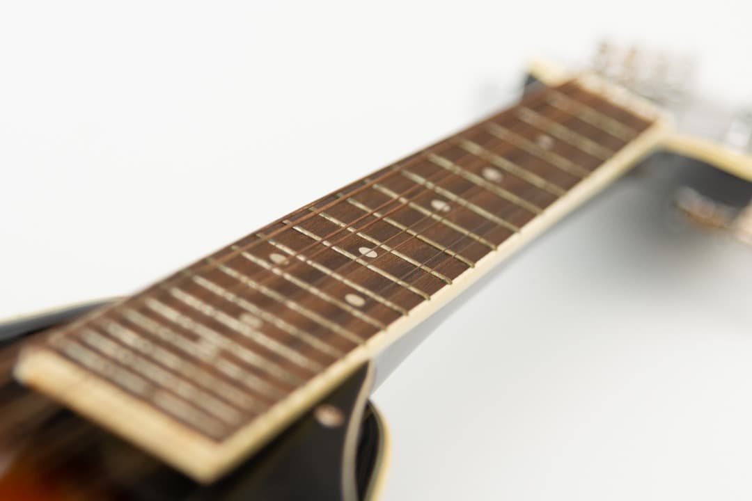 【最終値下】【中古】ARIA マンドリン AM-20 ピックアップ・ケース付