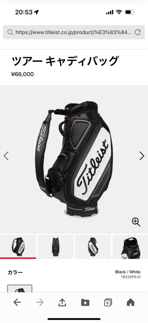 Titleist ツアーキャディバッグ　タイトリスト