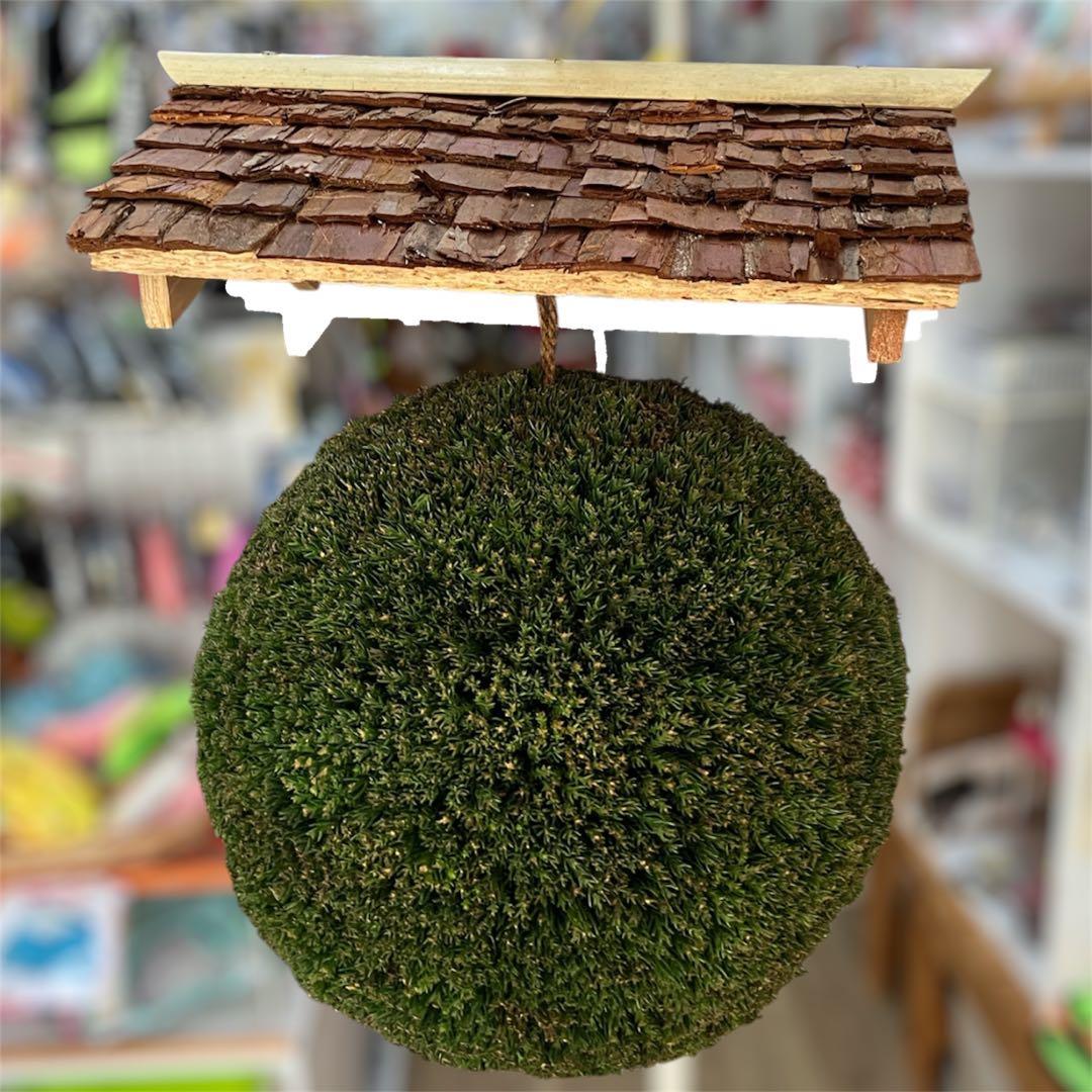 杉玉【屋根付き】⑤