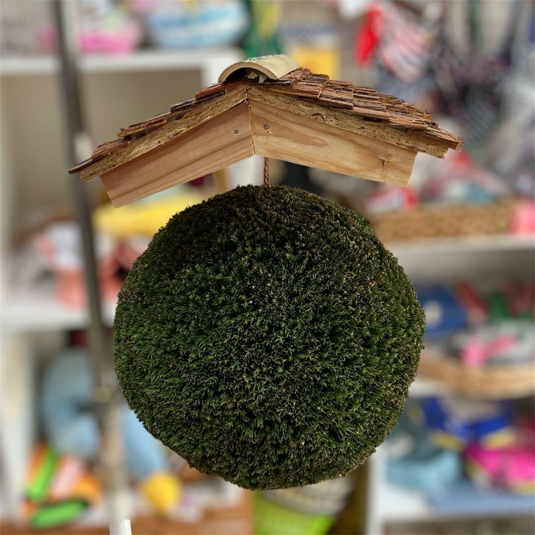 杉玉【屋根付き】⑤