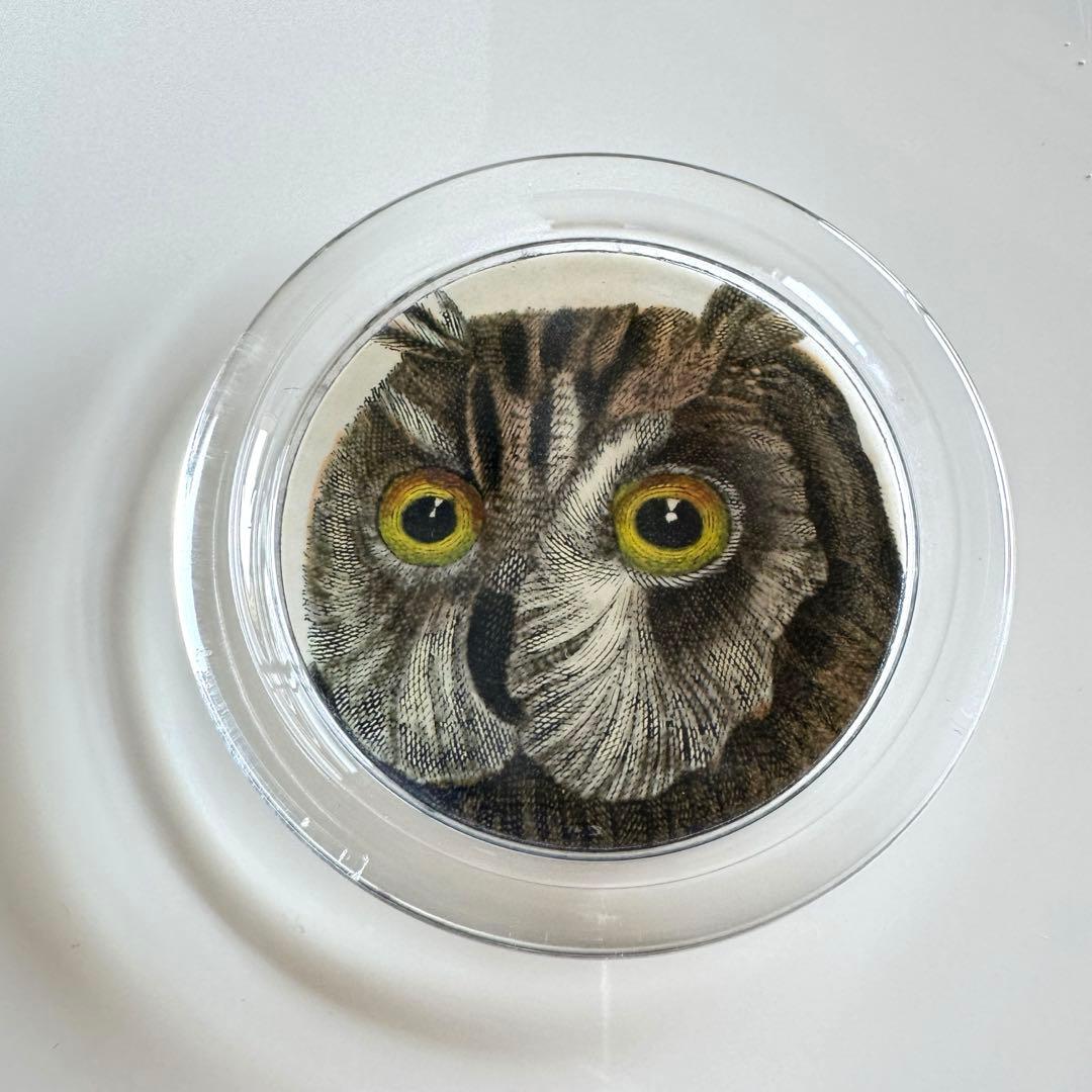 【美品】JOHN DERIAN/ジョンデリアン/フクロウ/デコパージュ/トレイ