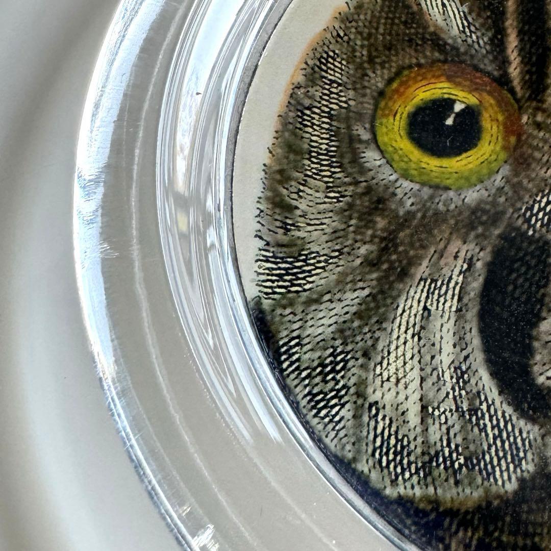 【美品】JOHN DERIAN/ジョンデリアン/フクロウ/デコパージュ/トレイ
