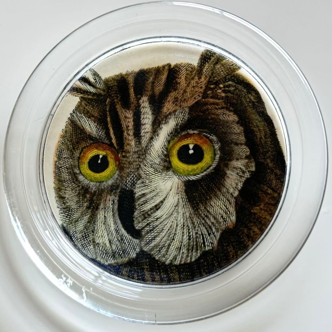 【美品】JOHN DERIAN/ジョンデリアン/フクロウ/デコパージュ/トレイ