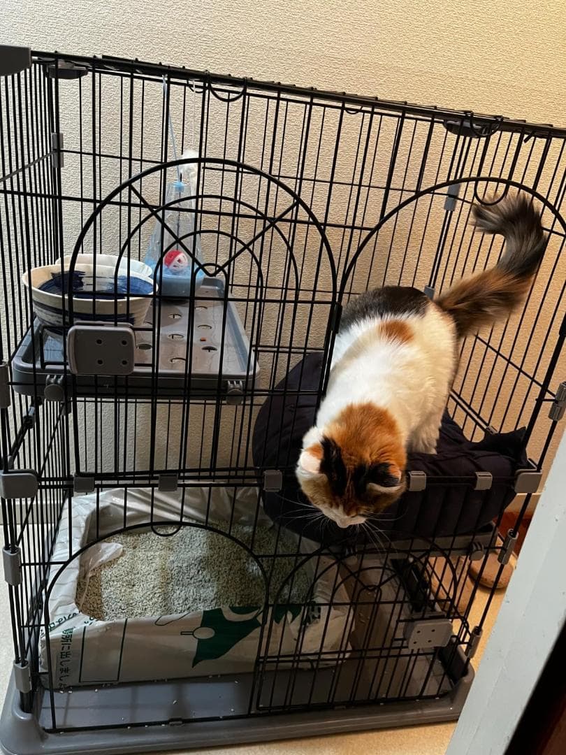 JPJieAnXin 猫ケージ キャットケージ 2段 スリム 大型猫用_corg
