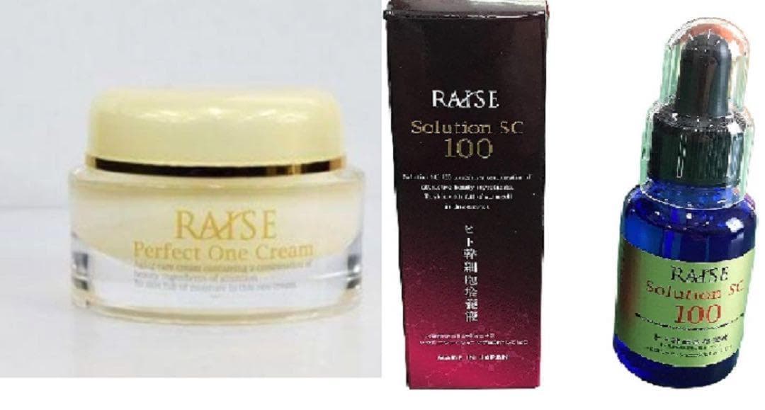 複数割引有 レイズ パーフェクトワンクリーム とソリューション  SC100