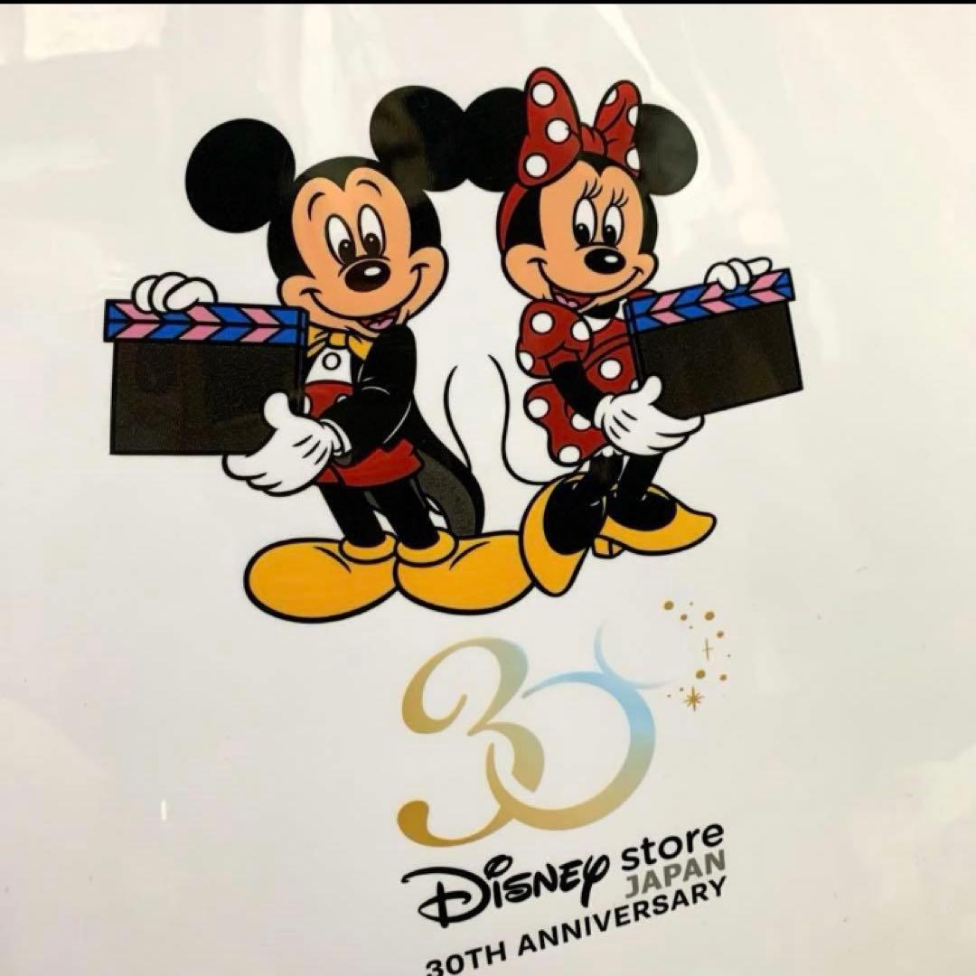 ディズニーストア　機内持込みサイズ　スーツケース　キャリーケース