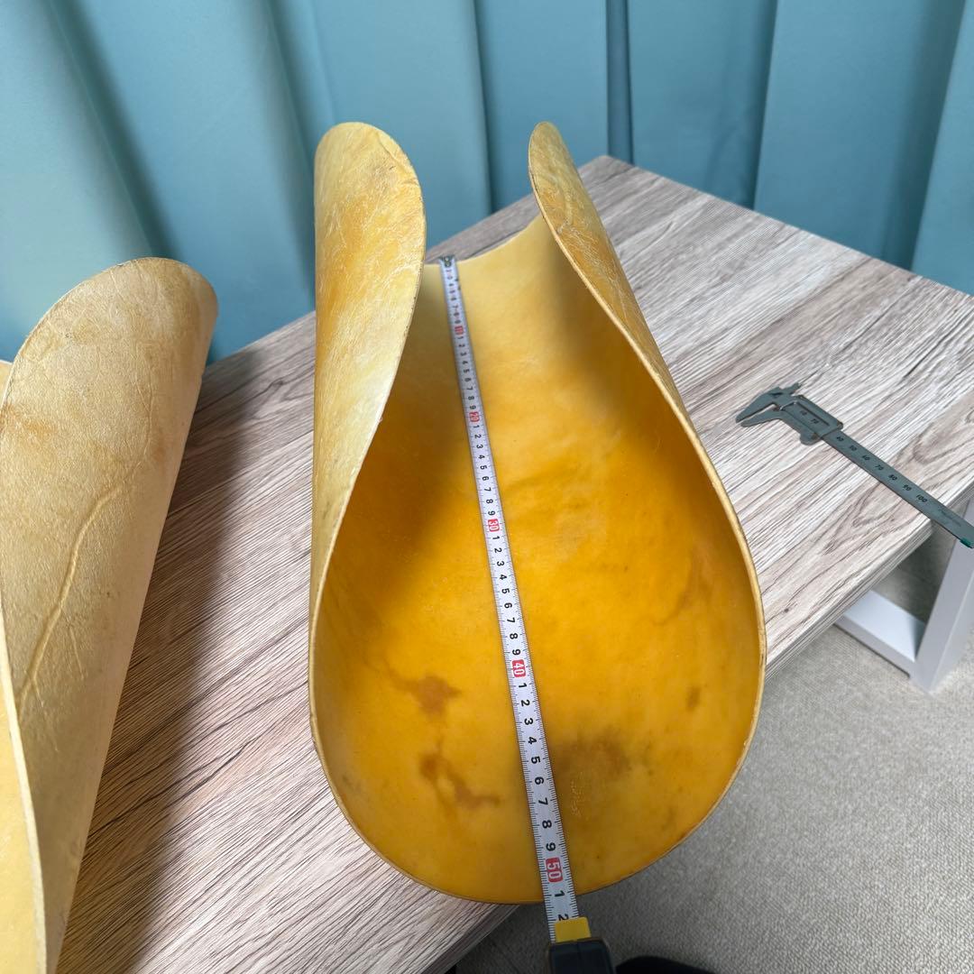 コンガヘッド キューバ製 2枚セット 牛革