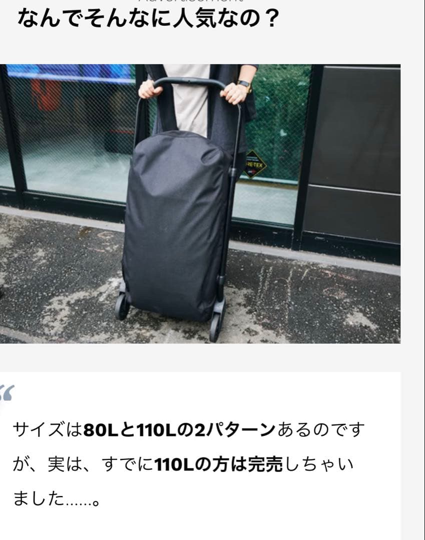 【美品】ARC’TERYX ROLLING DUFFEL V110 入手困難