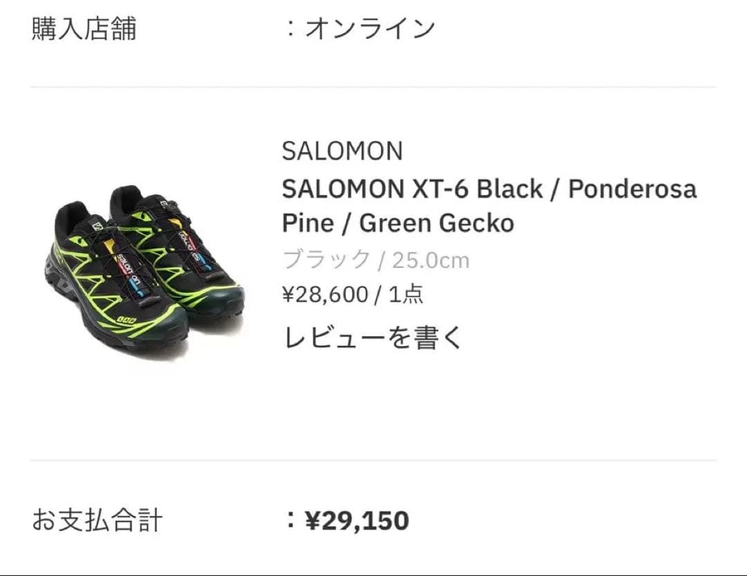 SALOMON XT-6 atmos “NEON TOKYO” 25cm