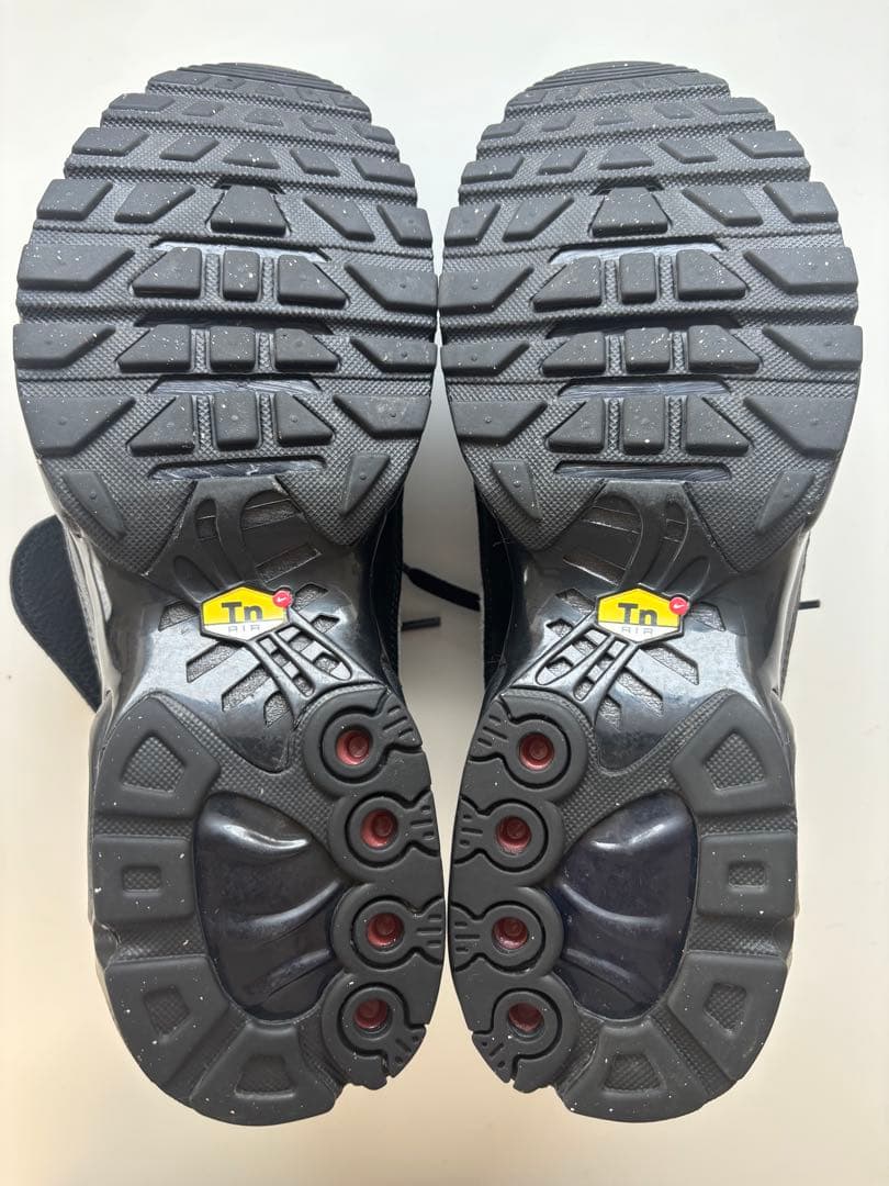 【箱付き美品】Nike Air Max Plus ブラック