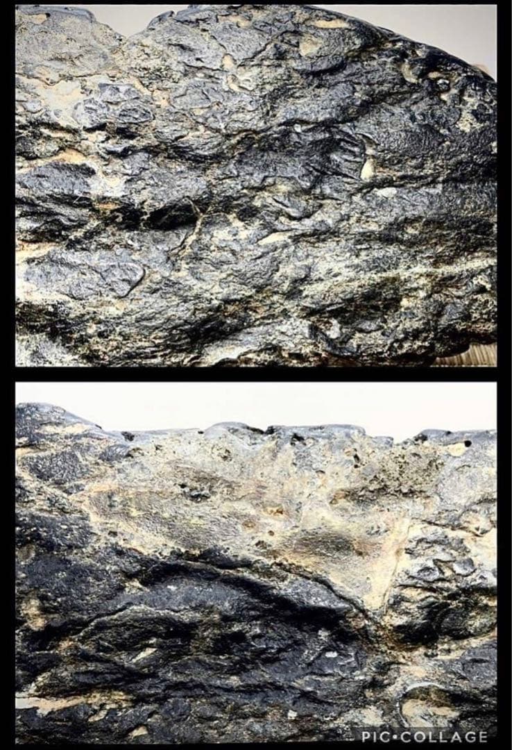 4019 加茂川石 横58×高18×奥18(cm) 13.74kg