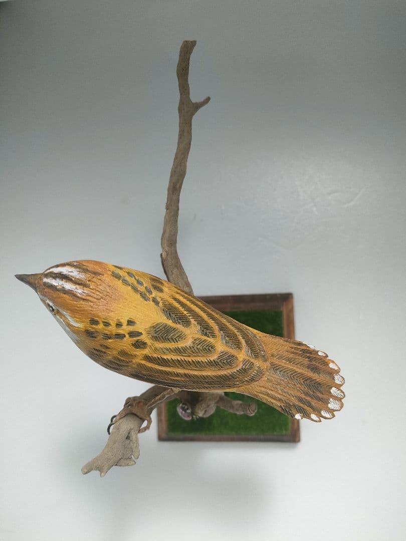 セッカ　バードカービング