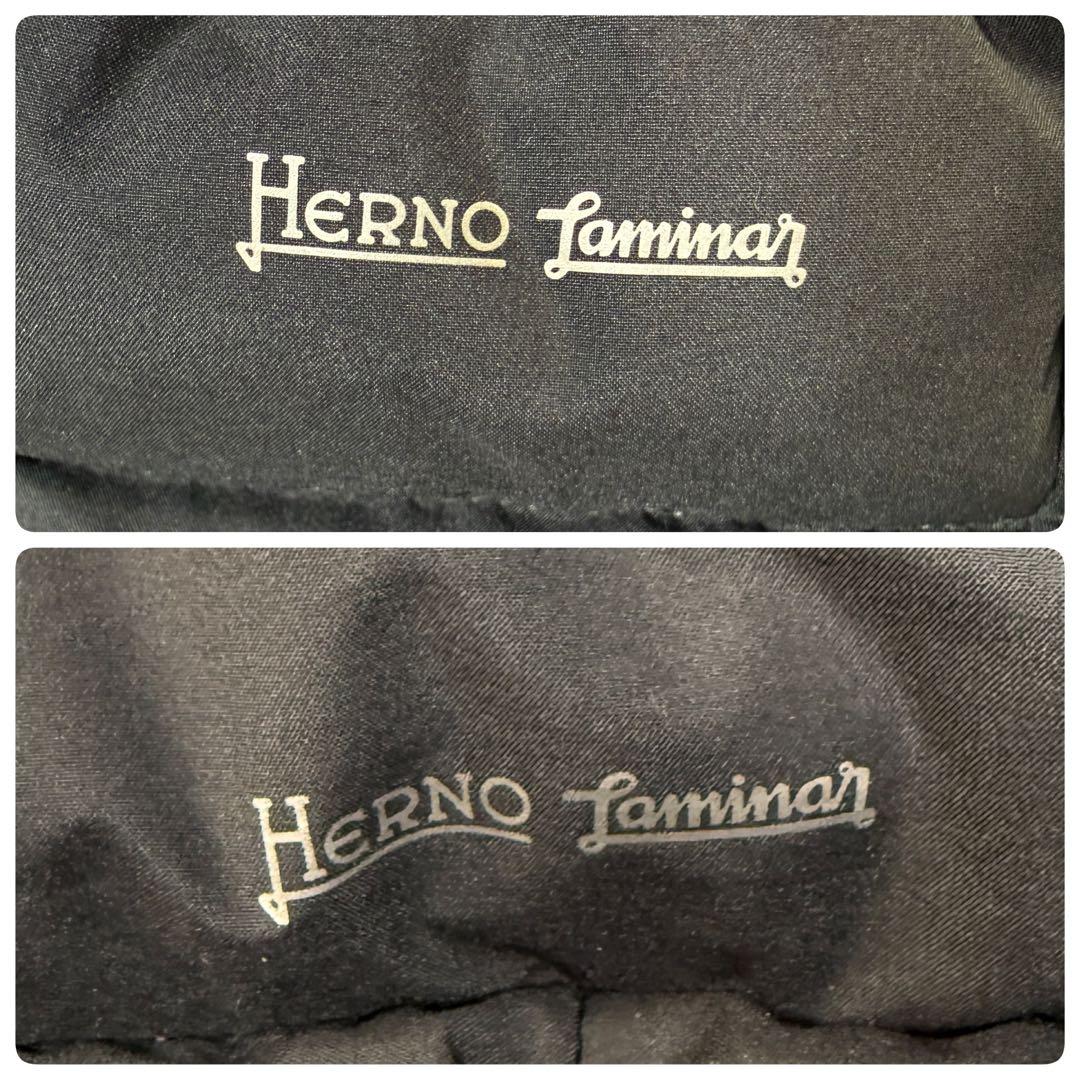 HERNO ラミナー ゴアテックス Aシェイプ フレア ダウンコート 48 黒