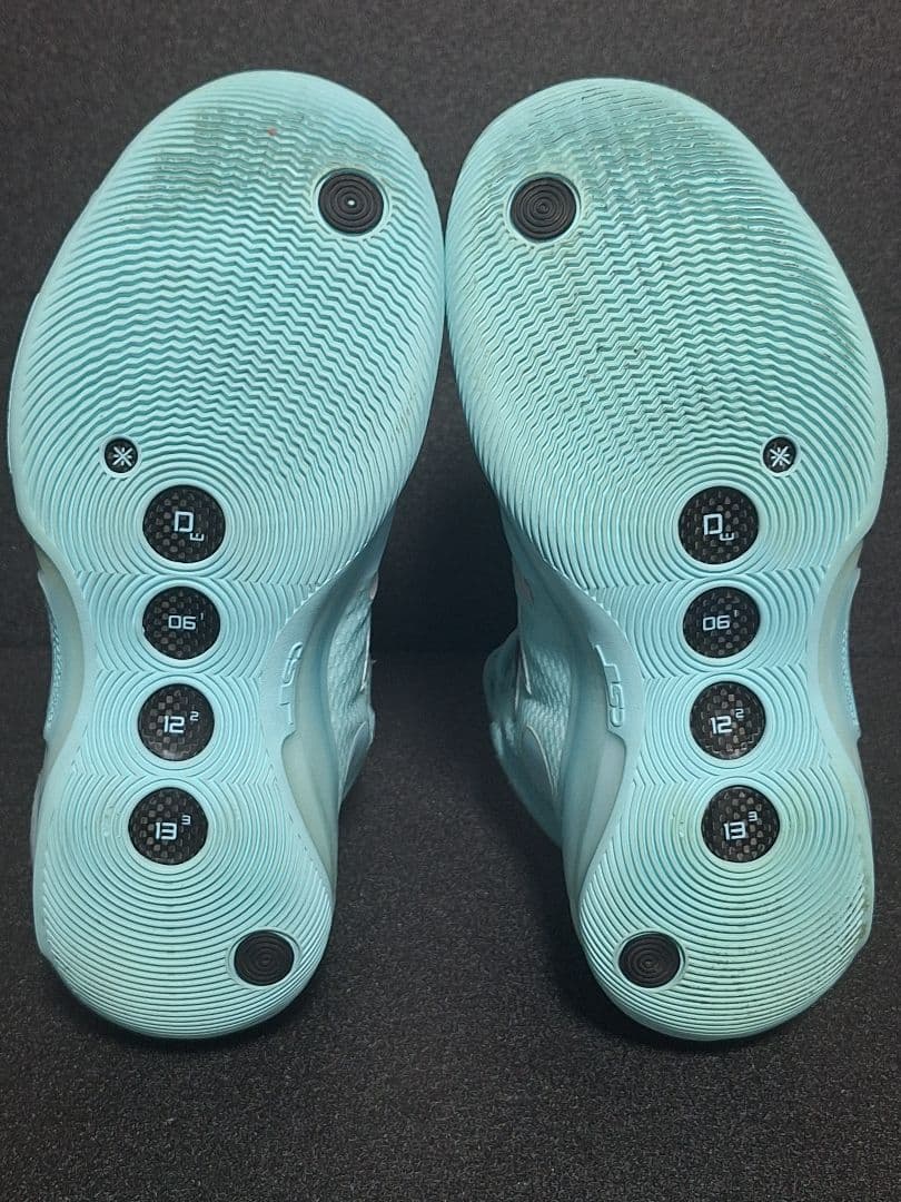 リーニン wayofwaed10 26.5箱あり