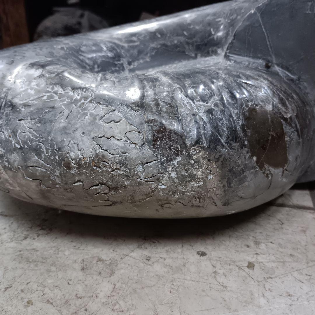４５２５）アンモナイトの化石　３０ｋｇ超え　縫合線　鑑賞石　置物