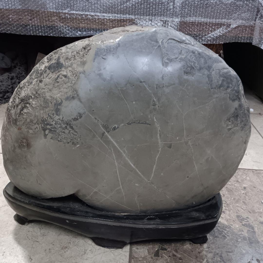 ４５２５）アンモナイトの化石　３０ｋｇ超え　縫合線　鑑賞石　置物