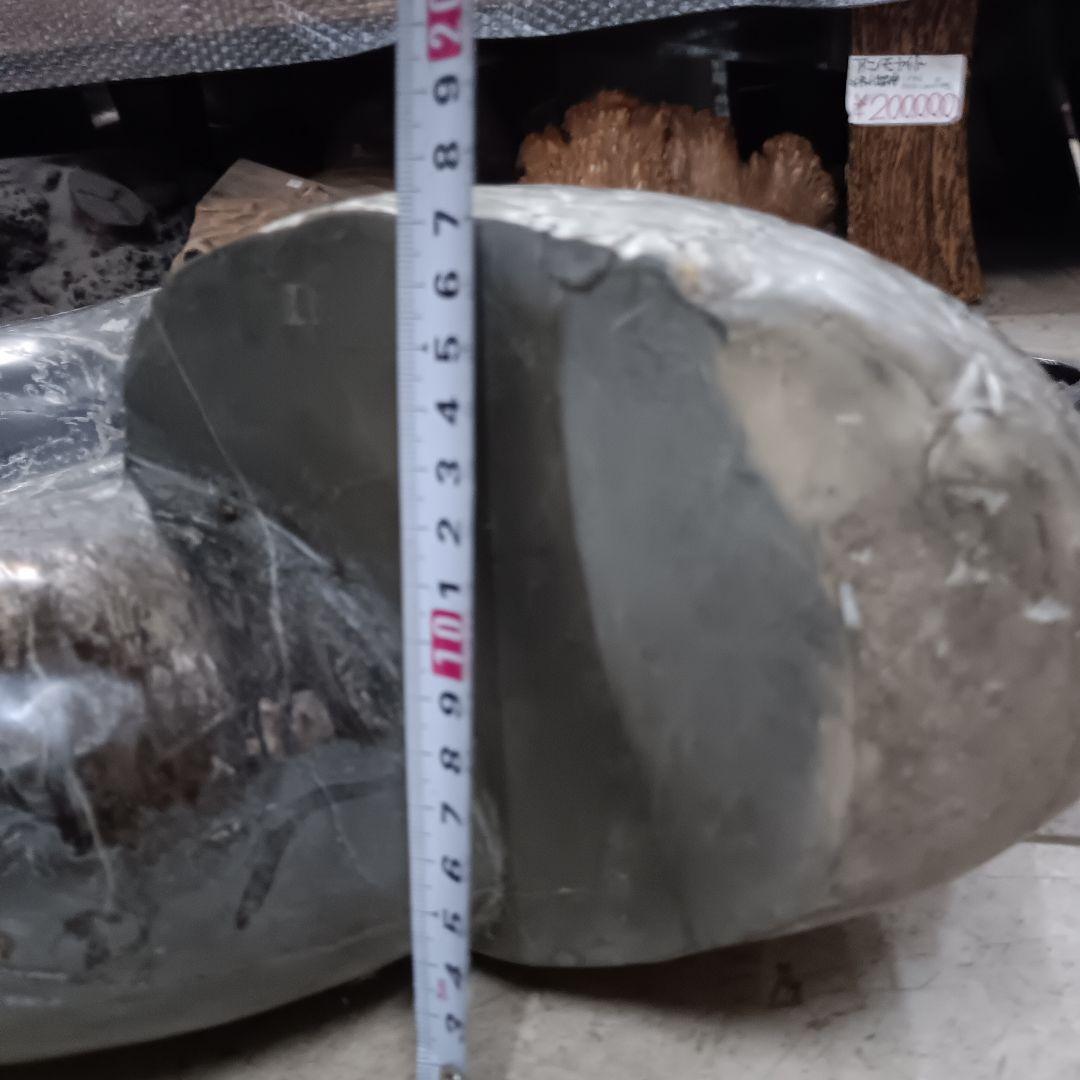 ４５２５）アンモナイトの化石　３０ｋｇ超え　縫合線　鑑賞石　置物