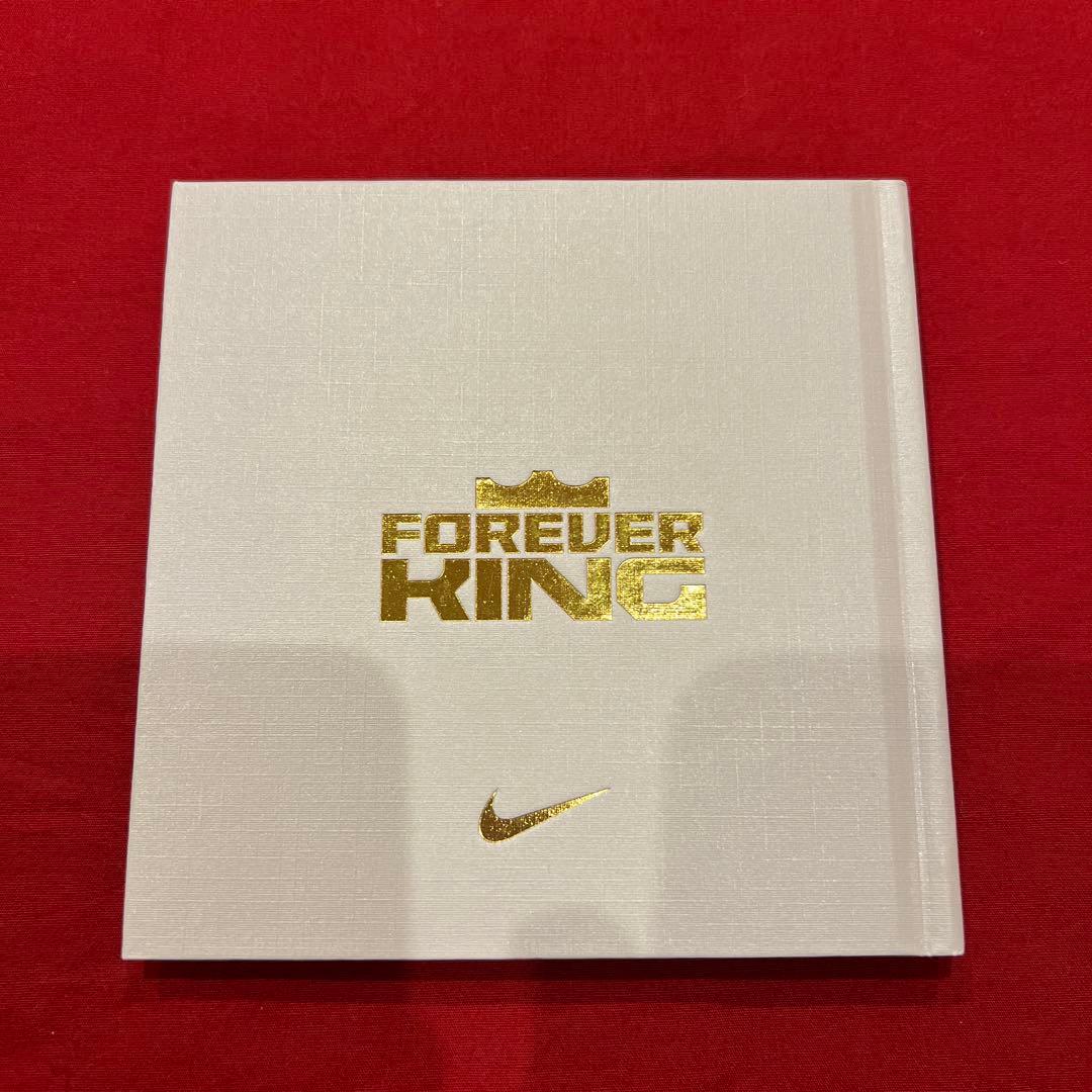 【新品】　NIKE　ナイキ　LeBron 23　レブロン　Miami Twice