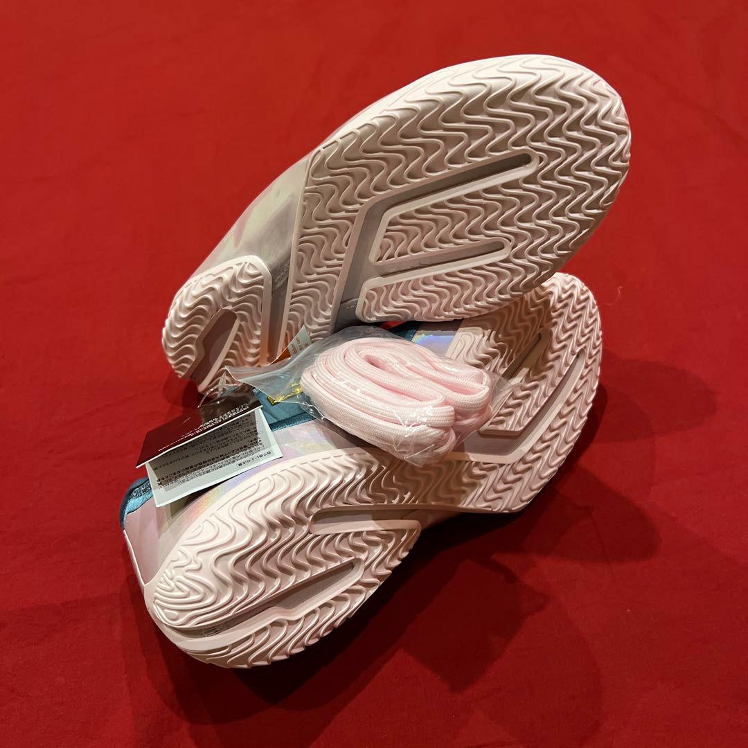 【新品】　NIKE　ナイキ　LeBron 23　レブロン　Miami Twice