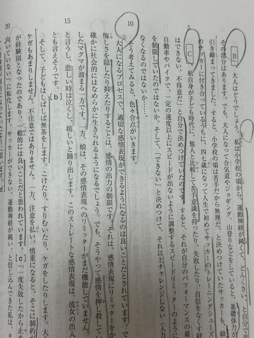 サピックス5年　マンスリーテスト　入室組分けテスト　2025年最新　11回セット