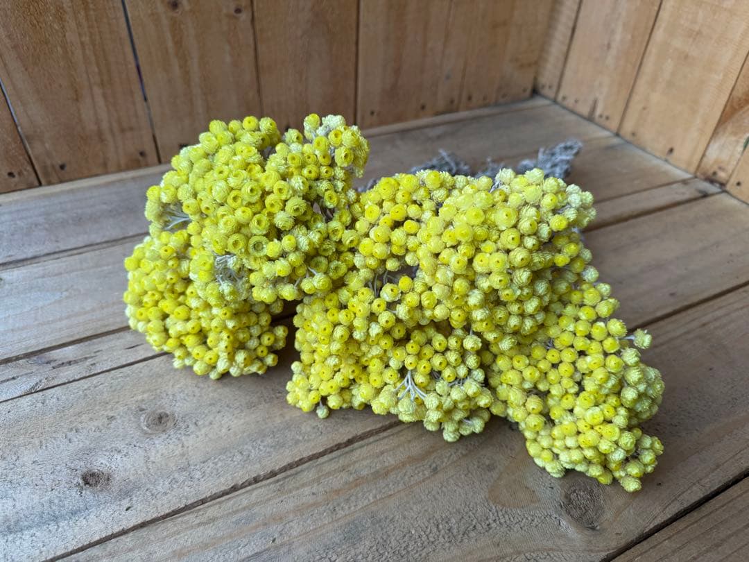 くるみ様 リクエスト 2点 まとめ商品