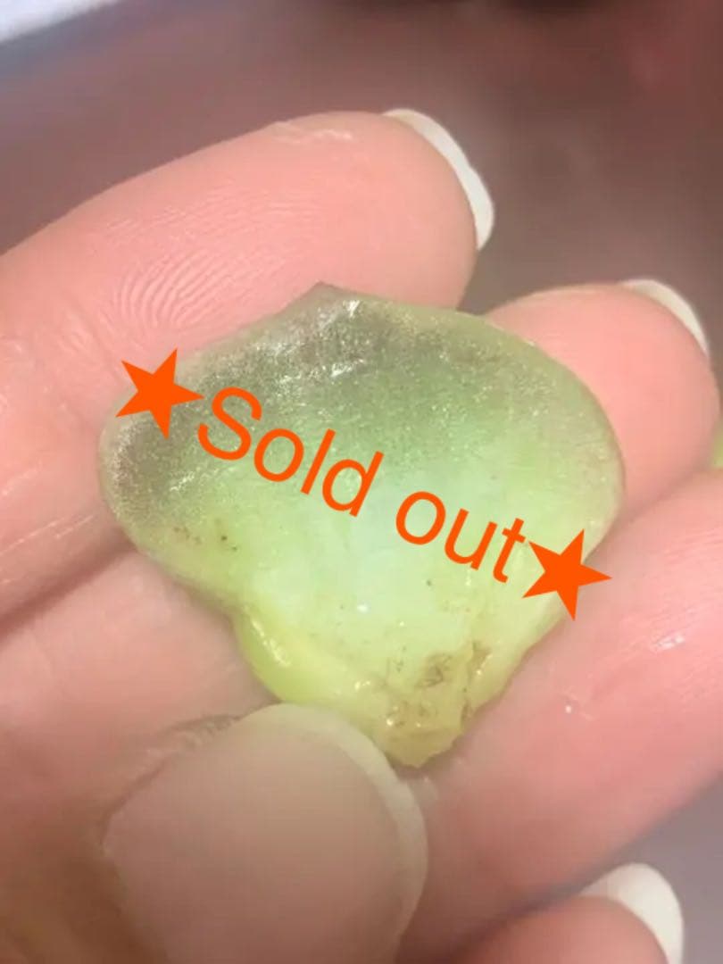 ラブリーローズ錦  赤斑  葉挿し 58