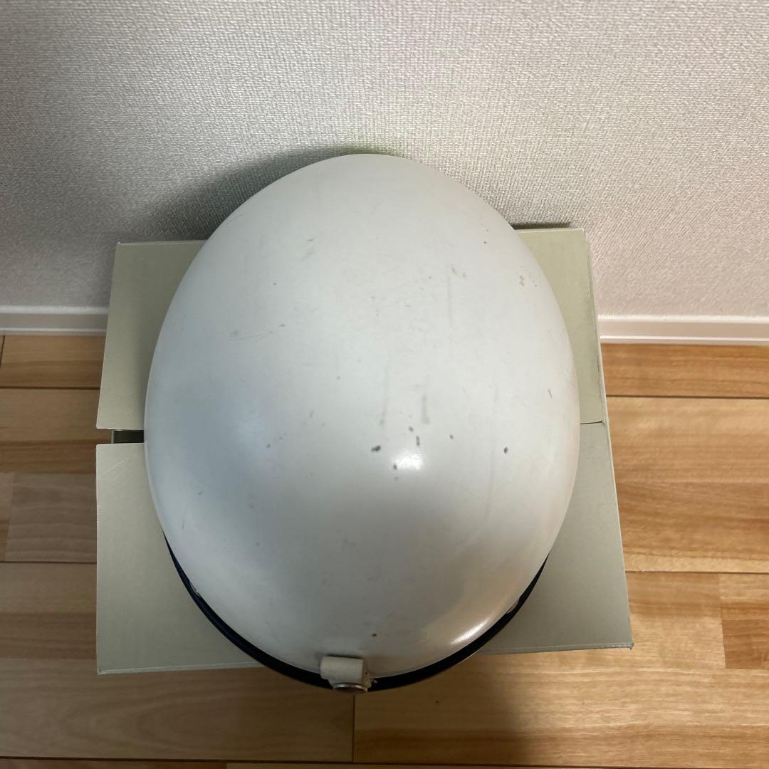 オーシャンビートル　ptr Lサイズ