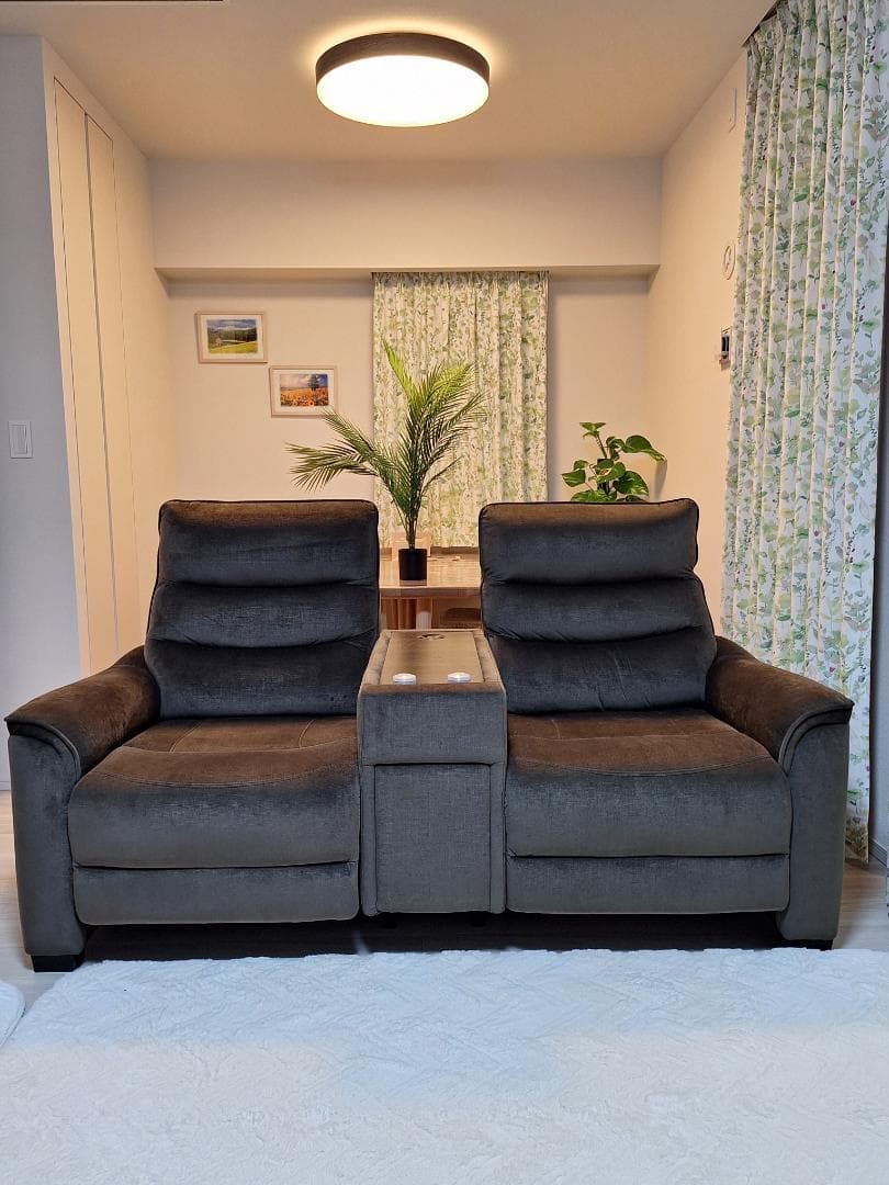 【美品・3ヶ月使用】ニトリ電動リクライニングソファ Nビリーバ3 収納付2人掛け