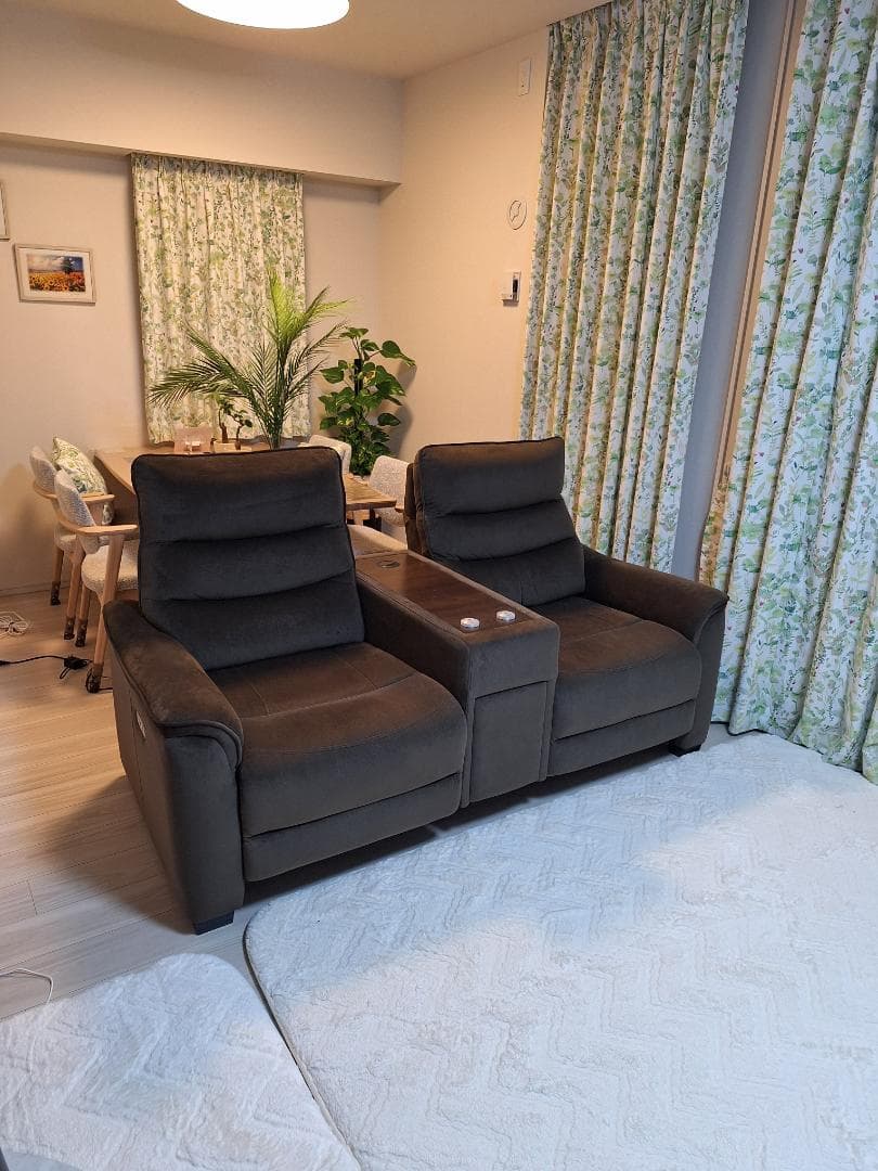 【美品・3ヶ月使用】ニトリ電動リクライニングソファ Nビリーバ3 収納付2人掛け