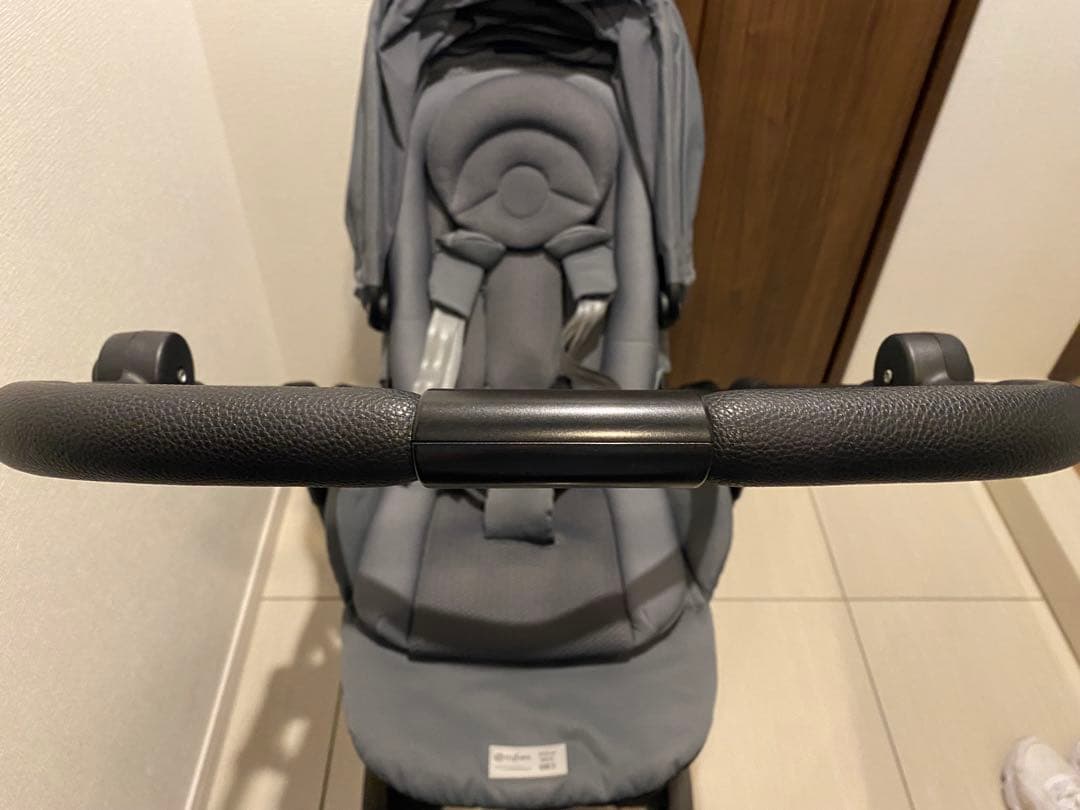 サイベックス　メリオカーボン　2022