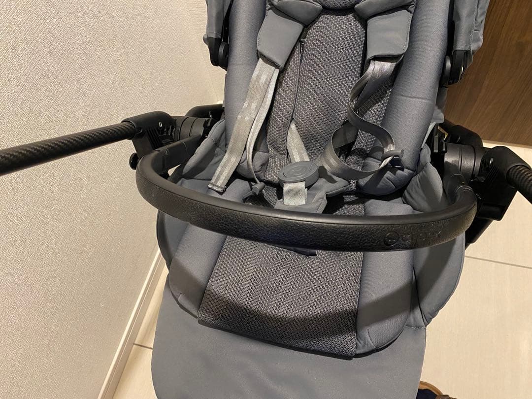 サイベックス　メリオカーボン　2022