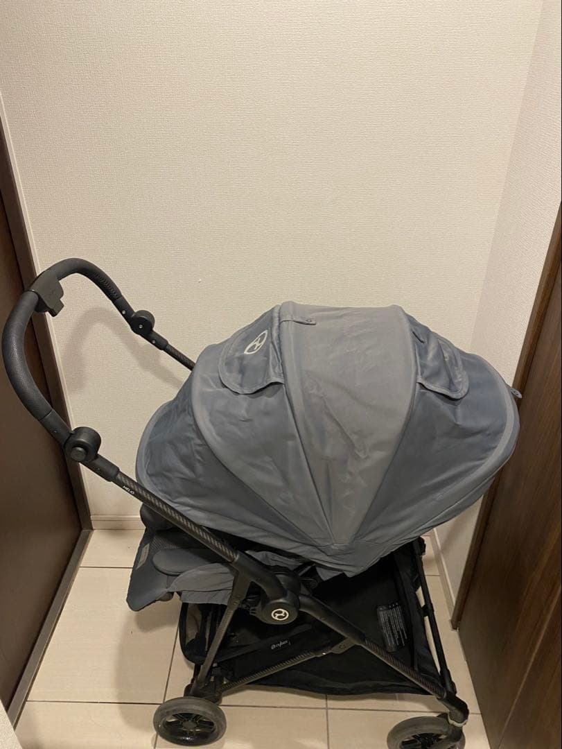 サイベックス　メリオカーボン　2022