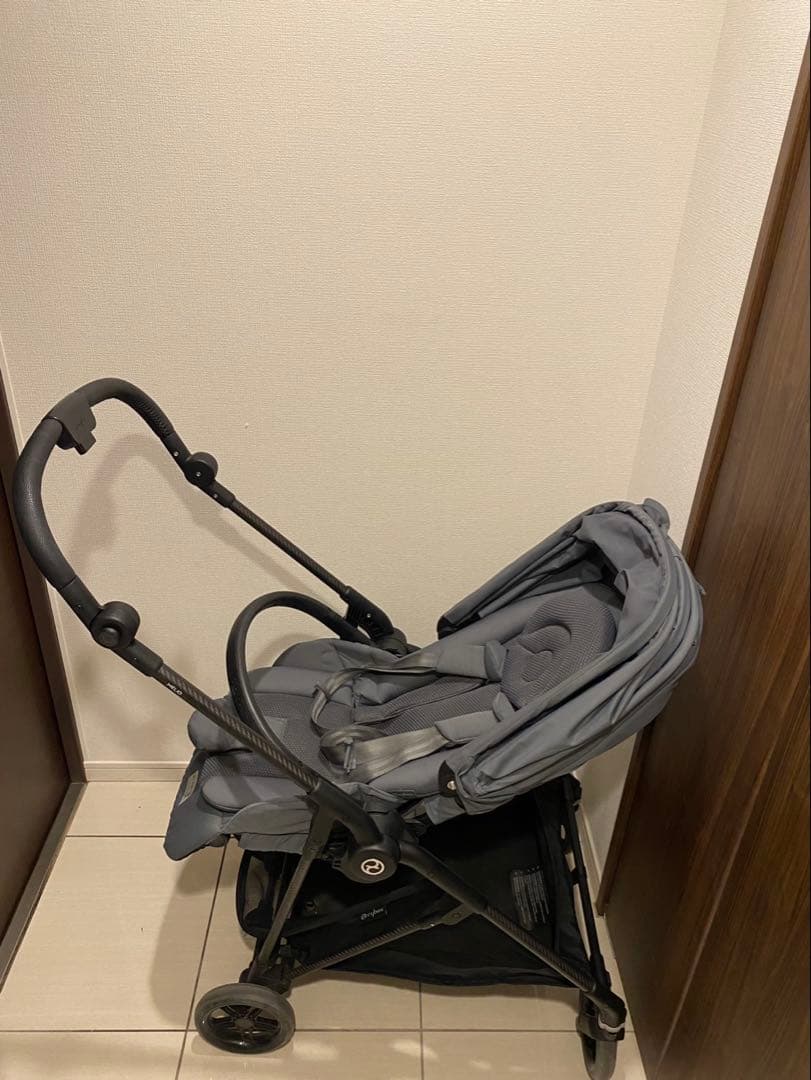 サイベックス　メリオカーボン　2022