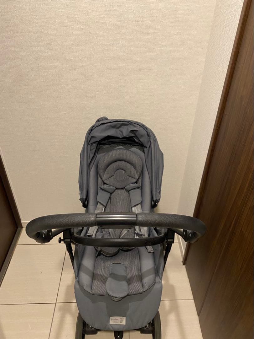 サイベックス　メリオカーボン　2022