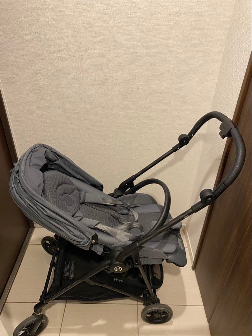 サイベックス　メリオカーボン　2022